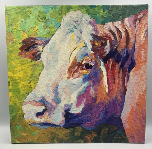 Marion rose white face - marion, cow