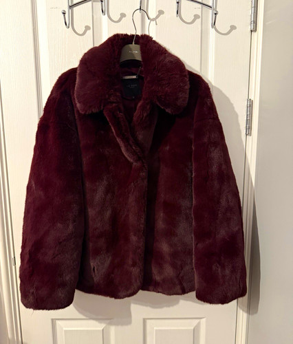 Ted baker women burgundy - ted,