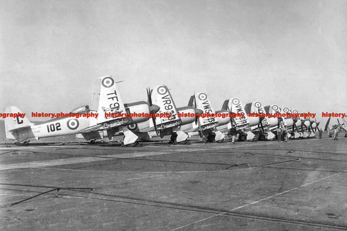 F003070 sea furies - f003070,