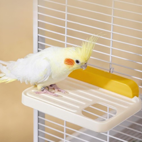 Bird platform pcs - pcs, plastics