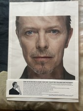 David bowie gavin evans fine - david,