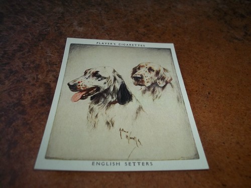 John player sons dogs 1955 - sons,