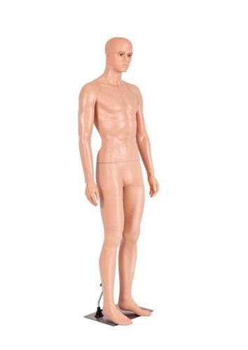 Life size male mannequin torso - life,