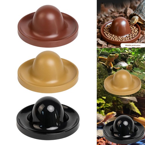 Reptile feeding dish - dish, tank