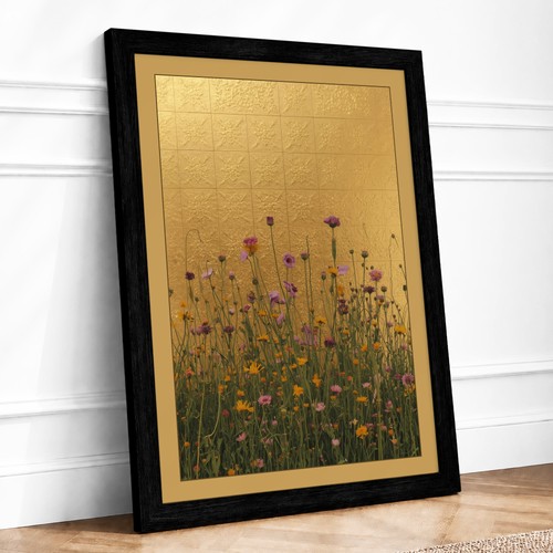 Wildflower meadow botanical - wildflower,