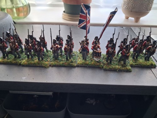 28mm british napoleonic - 24,