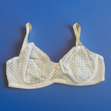 Lingerie Bra Thailand FELINA
