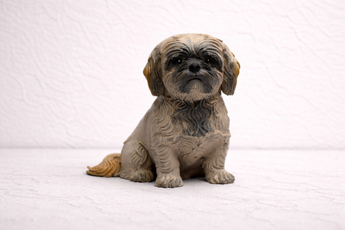 Custom shih tzu style - shih, dog