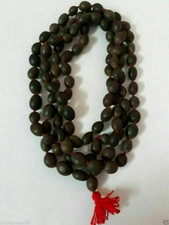 Lotus Seeds / Beads Kamal
