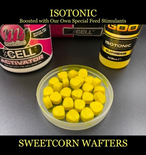 Boilies mainline cell - boilies,