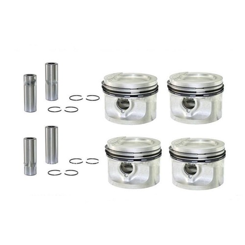 Piston set oversize for - +1.00,