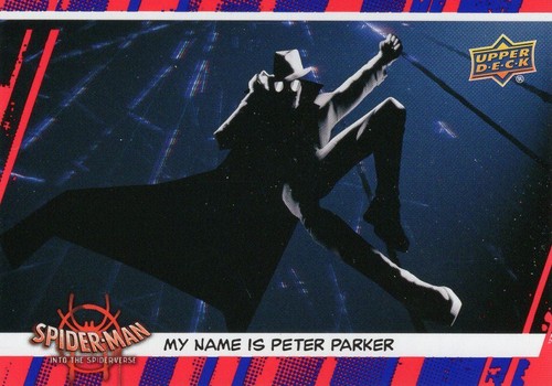 Spider man into - spider-man, the