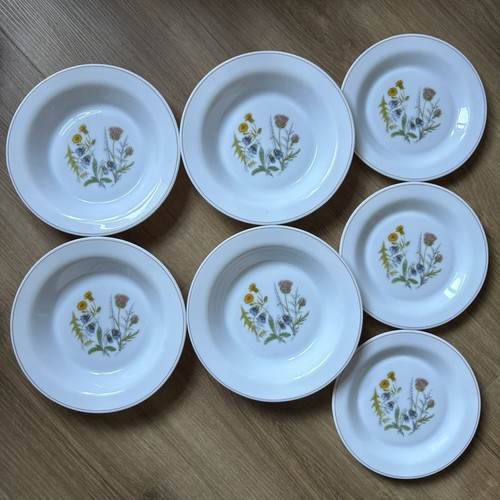 Vintage arcopal france - vintage,