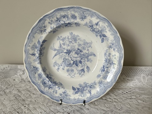 Wedgwood co asiatic - co,