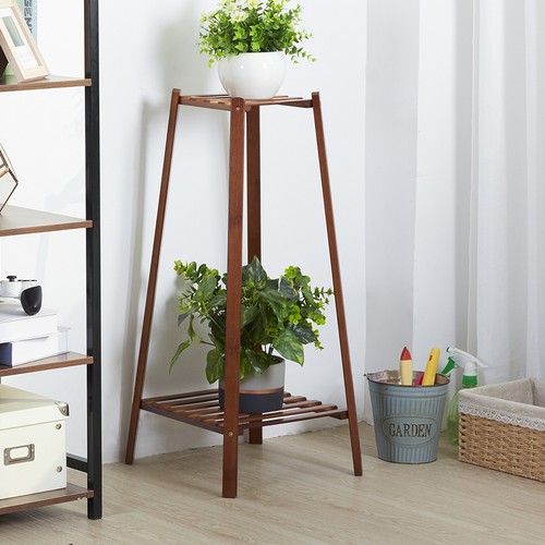 Glossy bamboo plant - bamboo, pot