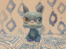 Littlest Pet Shop Boston