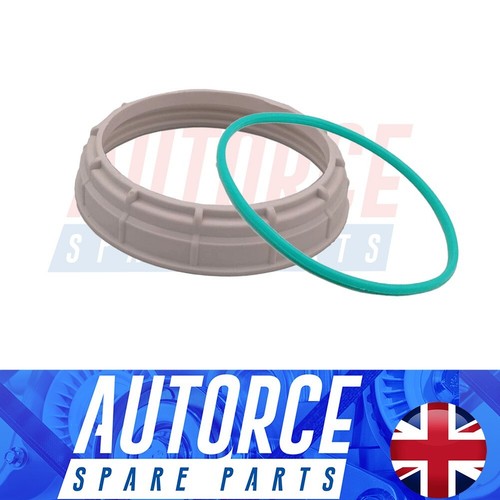 Fuel pump ring gasket - ring, seal