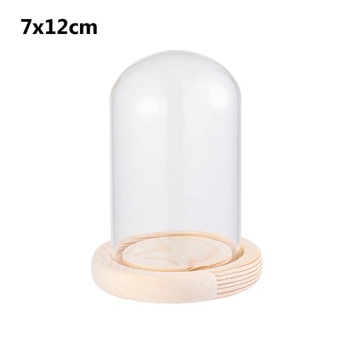 Glass dome display bell - glass,