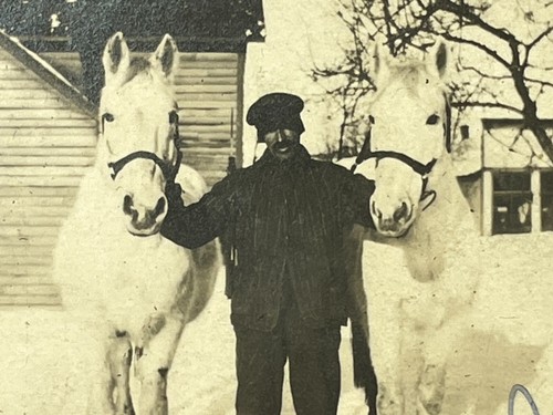 Photograph 1910 s - photograph, 1910-20's