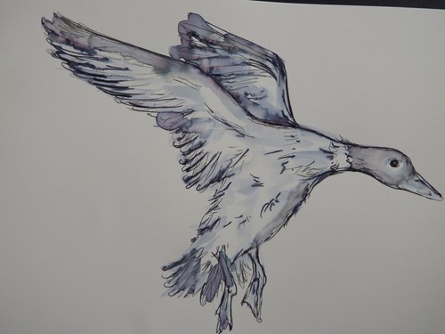 Original pen ink wash - ink,