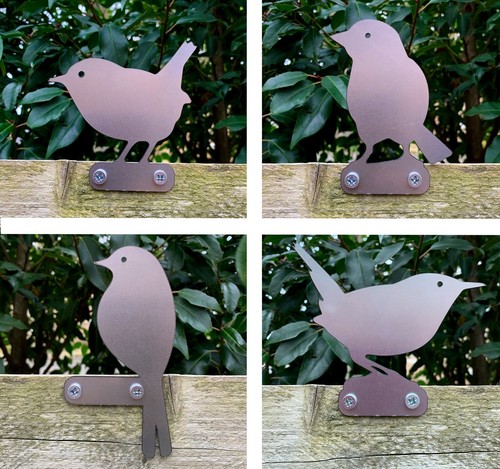 Wren finch robin sparrow - finch, bird