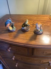 the country bird collection