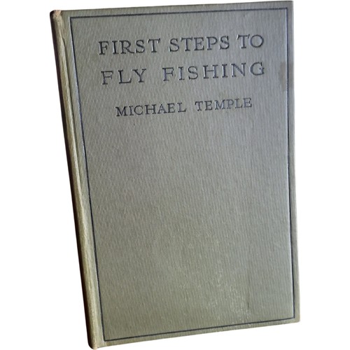 First steps fly - steps, to
