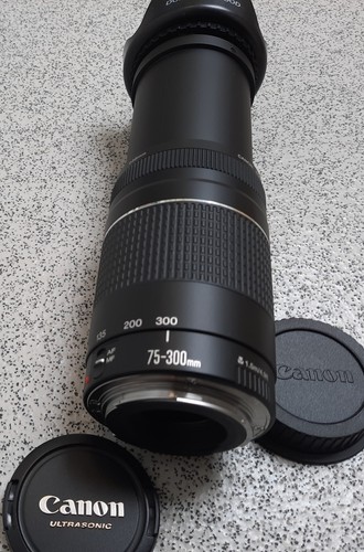 Canon 300mm 5 6 - canon, ef