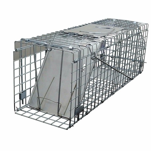Squirrel rat trap - squirrel, /