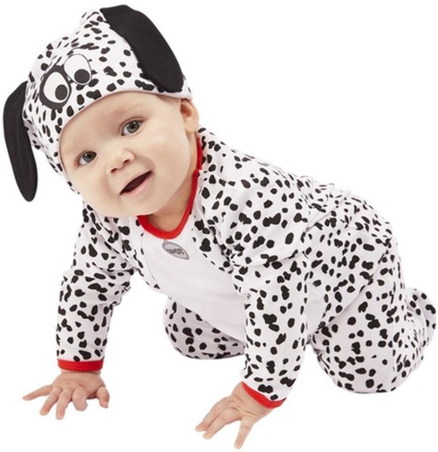 Baby toddler dalmation - baby, dog