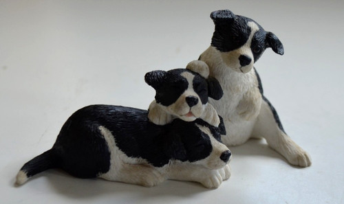 Border collies pups - collies,