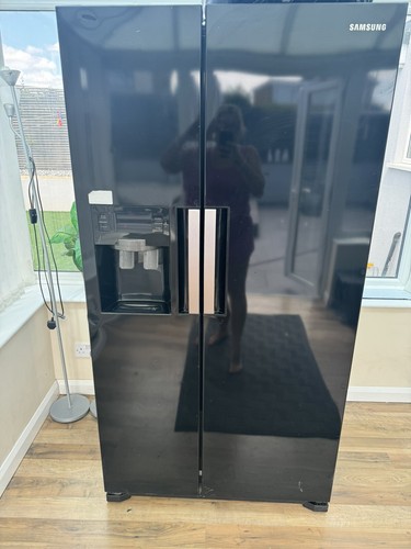 American fridge freezer - freezer, with