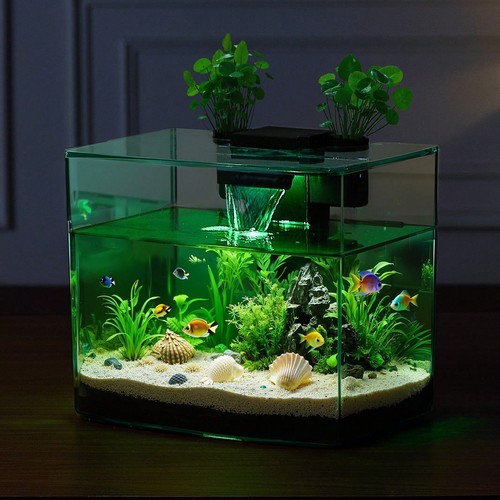 Gallon fish tank aquarium - gallon,