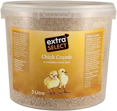 Chick crumbs feed - chick, high