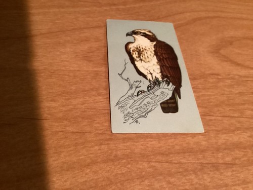 Tetley tea cards - tea,