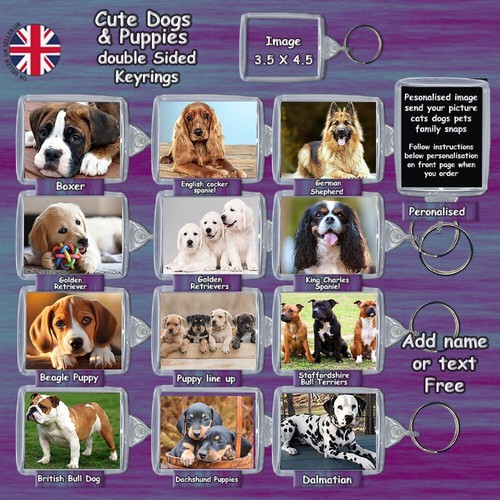 Cute dog puppies double - dog,