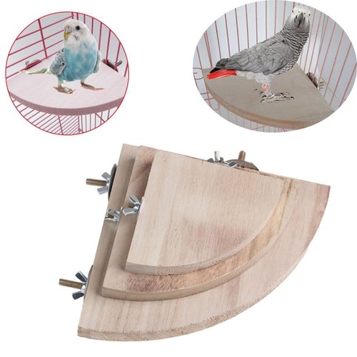 Pet bird parrot wood platform - bird,