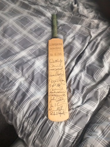Glamorgan dragons 2005 - glamorgan, large