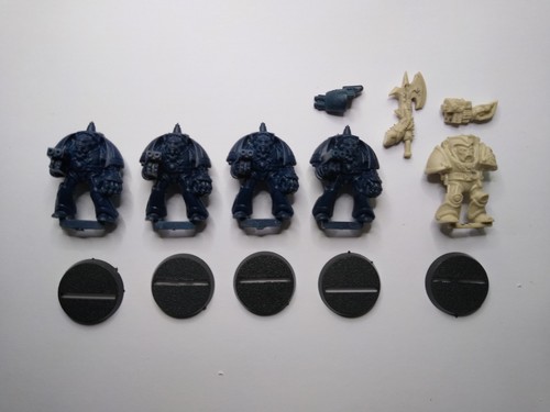 W40k space marines - marines-, rogue