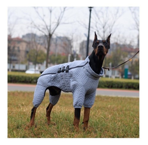 Dog winter coat clothes legs - clothes,