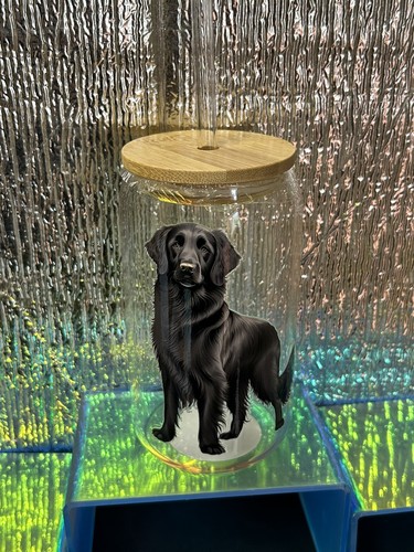 Flat coat retriever - ,