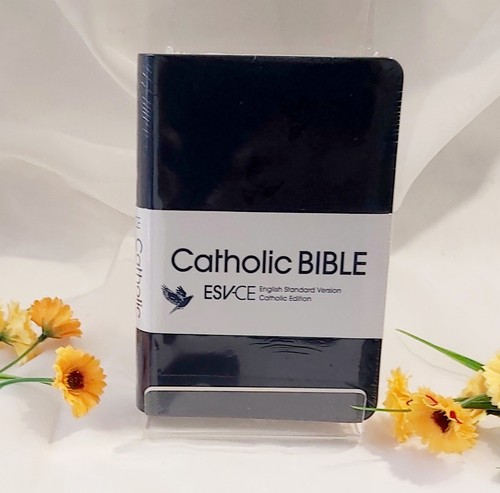 Catholic bible english - catholic,