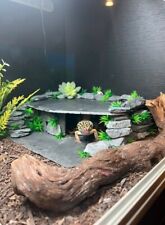 Leopard Gecko Slate Hide