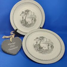 2 x Victorian SCENIC CHINA