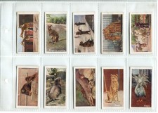 Zoo Series 1932 Typhoo Tea Cards - Full Set of 25 Cards