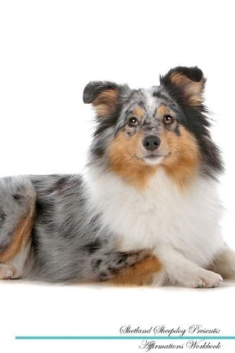 Shetland sheepdog affirmations - shetland,