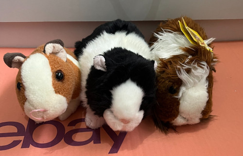 Bundle guinea pig soft - bundle, of