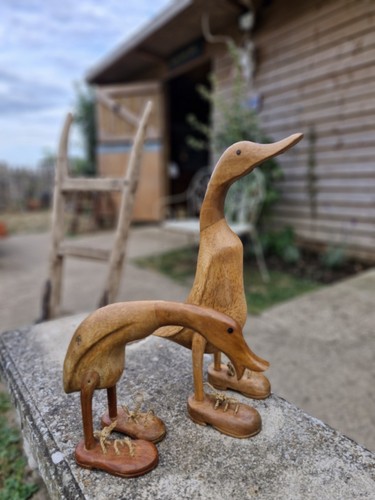 Pair wooden ducks great - of,