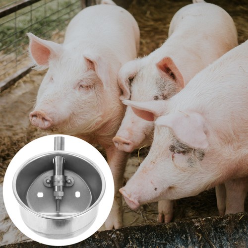 15cm drinking bowl - 15cm, pig