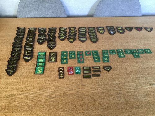 Vintage brownies girl guides - brownies,